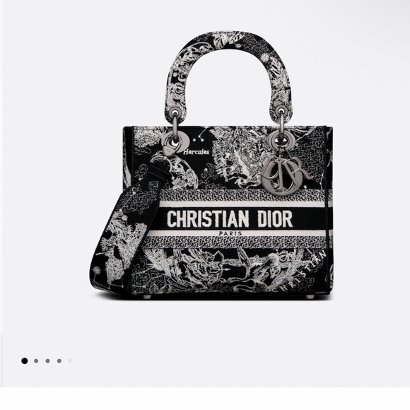 Dior Handbags - Christian Dior Lady D-Lite Bag Embroidered Canvas Medium Print zodiac astrology